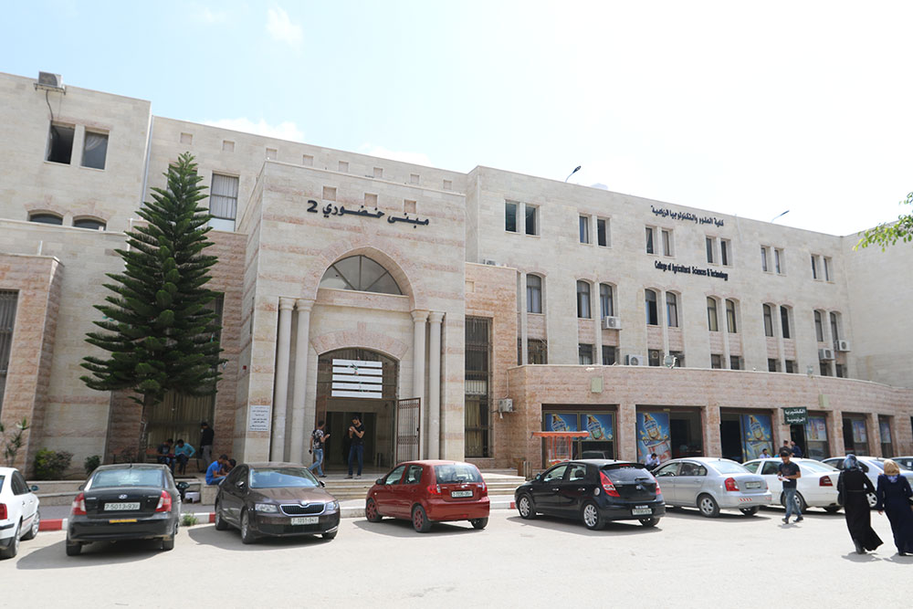 كلية هندسة ديكور