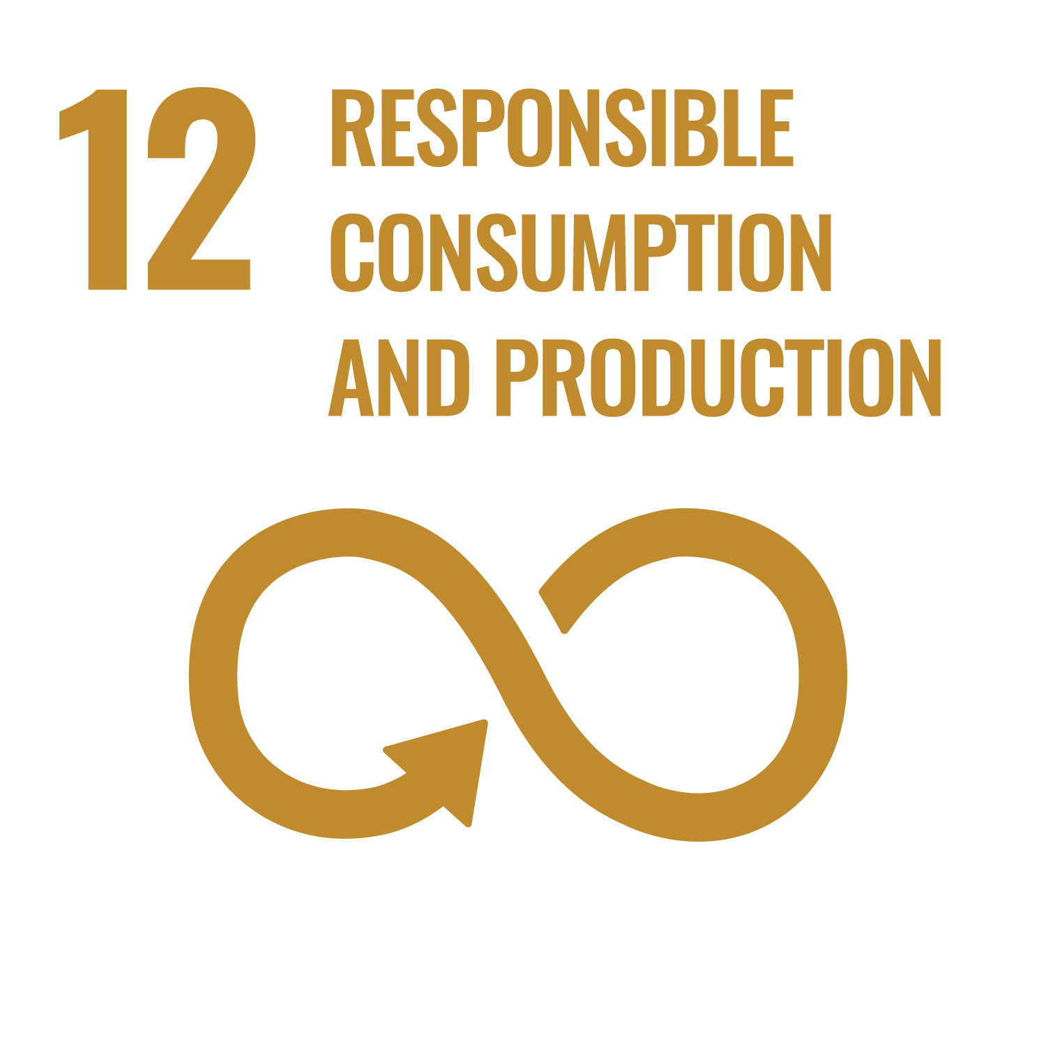 SDG 12 Icon