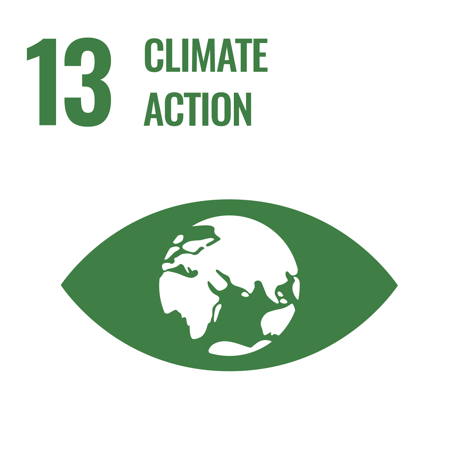 SDG 13 Icon