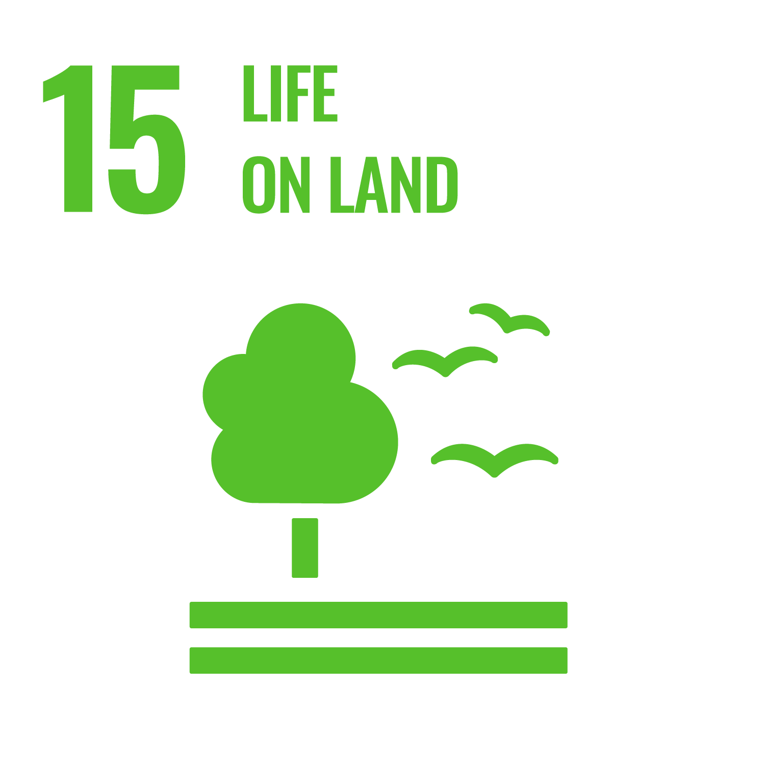 SDG 15 Icon