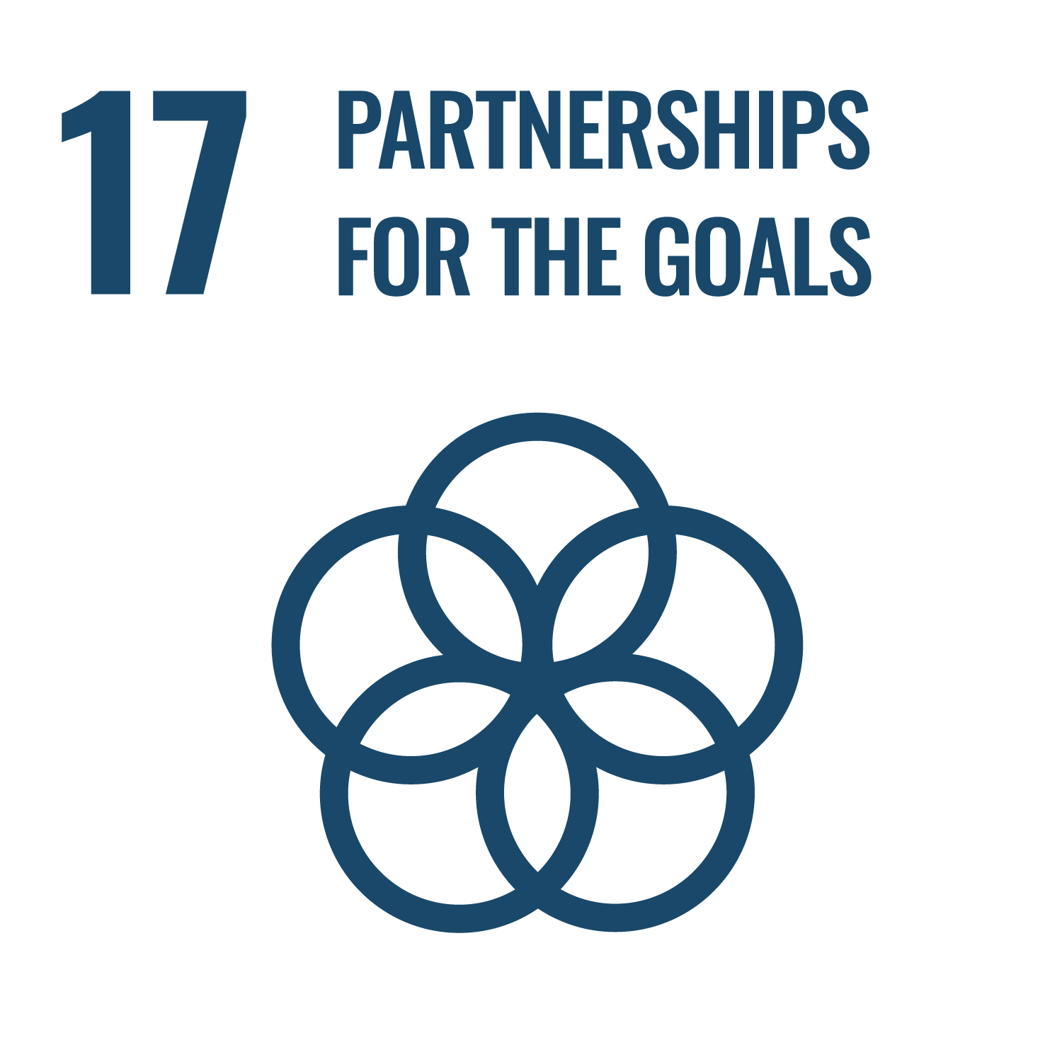 SDG 17 Icon
